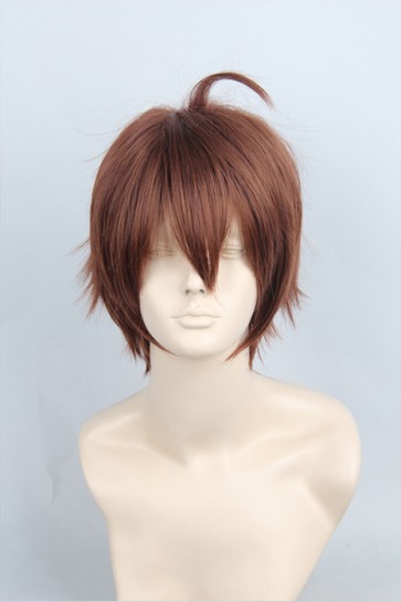 30cm Brown Short One Punch Man King Cosplay Wig AC00954
