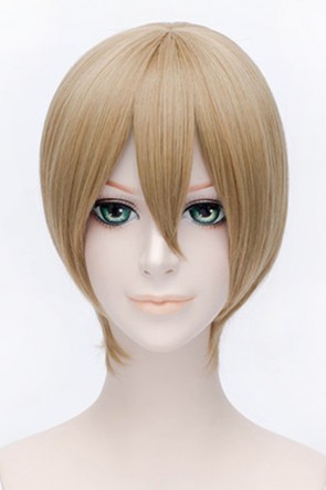 30cm Fudge Hitman Reborn Futa Cosplay Wig AC001099
