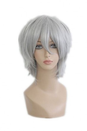 30cm Sliver Grey Inu x Boku SS Miketsukami Soushi Cosplay Wig AC001212
