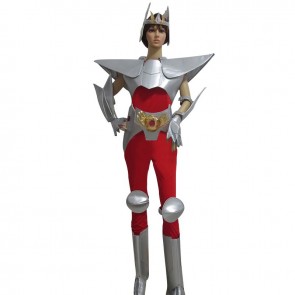 Saint Seiya  Pegasus Seiya cosplay costume AC001350