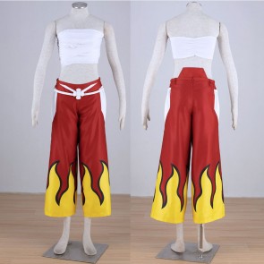 Fairy Tail Erza Scarlet Cosplay Costume Party AC0041